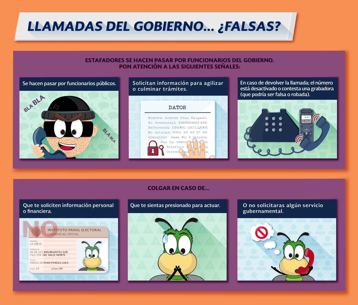 Imagen 6